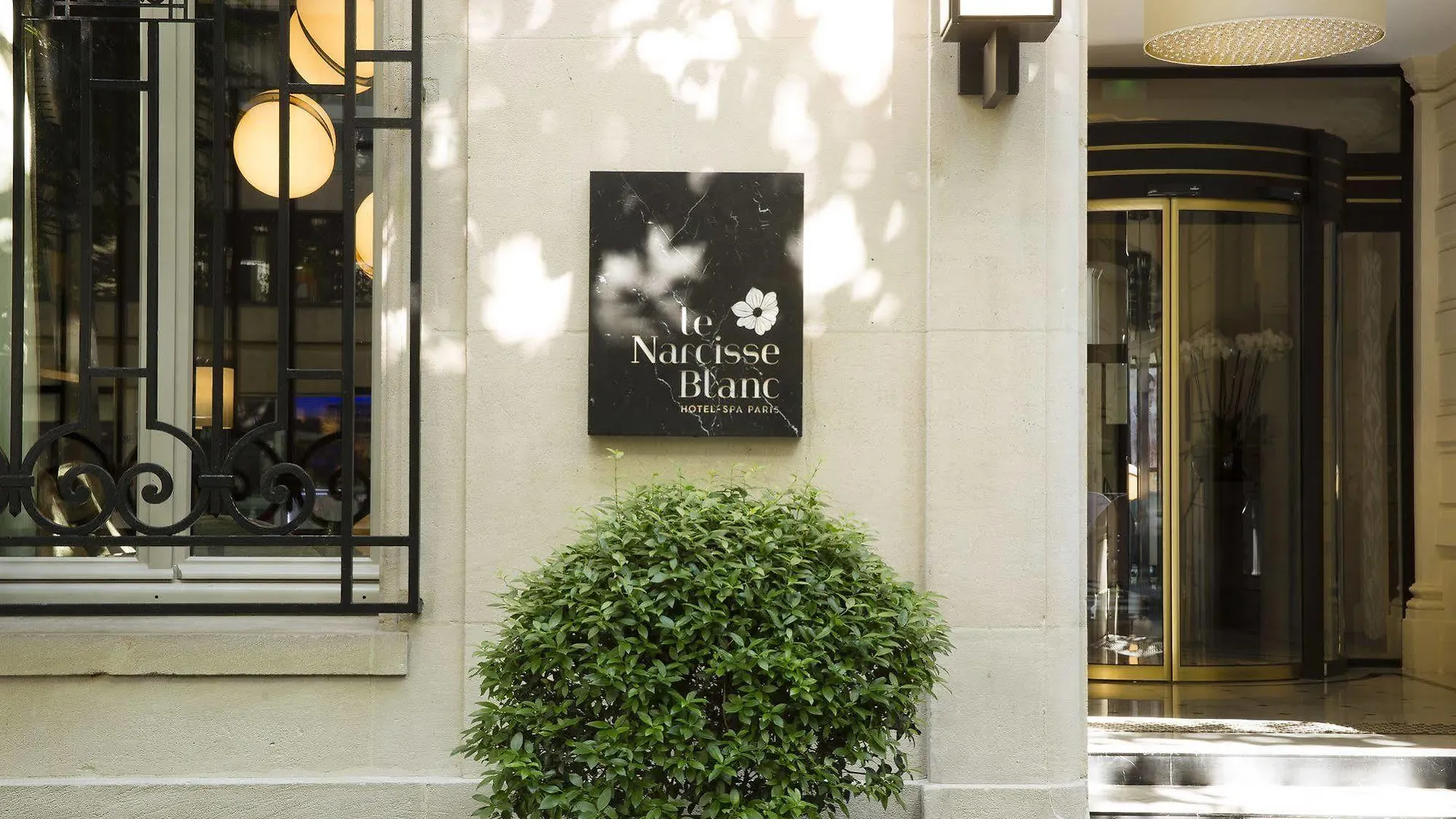Le Narcisse Blanc